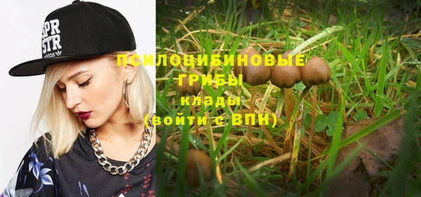 не бодяженный Володарск