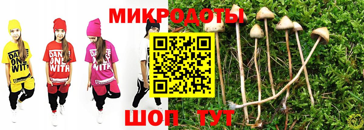 Галлюциногенные грибы Cubensis Железногорск