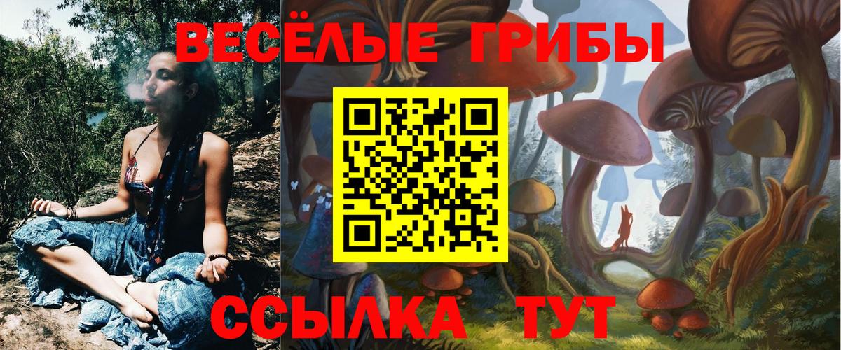 Железногорск  Галлюциногенные грибы Cubensis  Галлюциногенные грибы MAGIC MUSHROOMS  Вход с VPN 